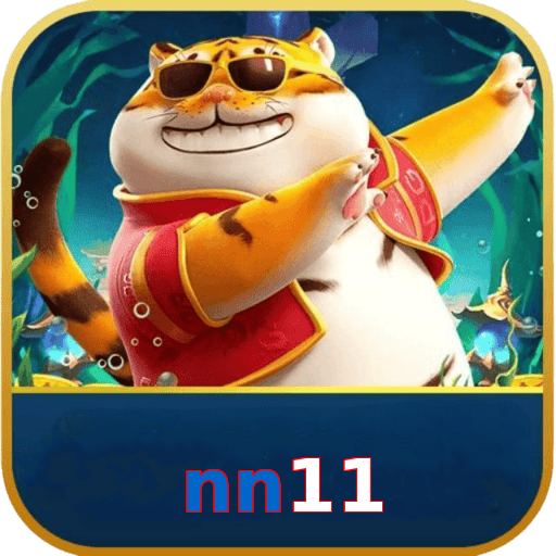nn11